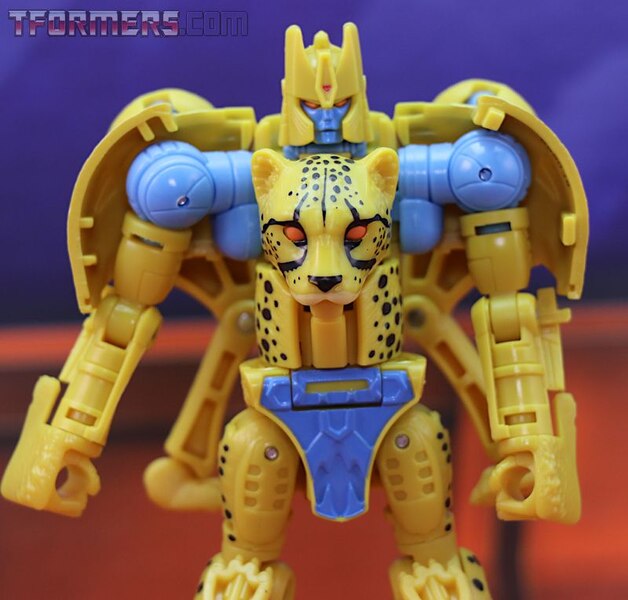 Transformers Kingdom Cheetor Wave 1 Deluxe Class  (3 of 34)